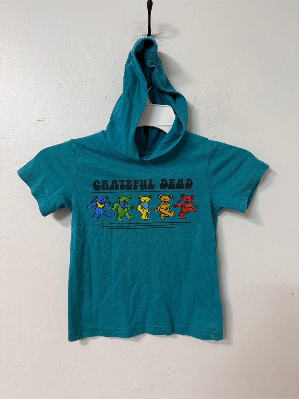 Grateful Dead Kids Teal Hooded T-Shirt